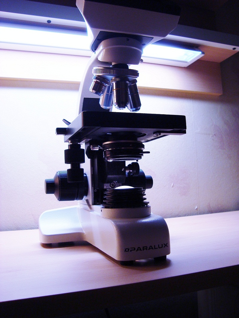 microscope paralux 004+.jpg