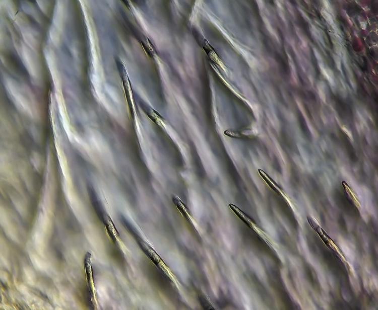 post-1989-0-62163900-1410292336_thumb.jpg