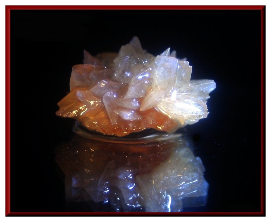 Oxalate de calcium Dihydraté 5.JPG