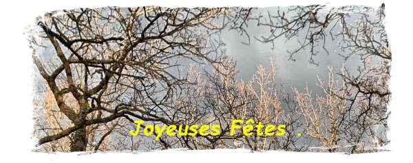 Joyeuses fêtes.jpg