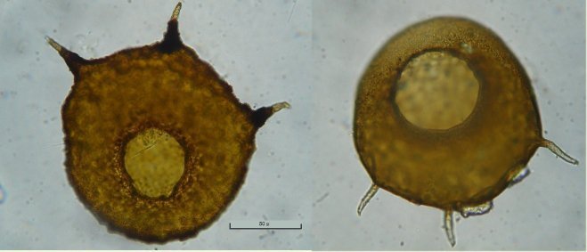 centrop40.jpg.94cb3d29a0cbaa3e5757832d735b8b60.jpg