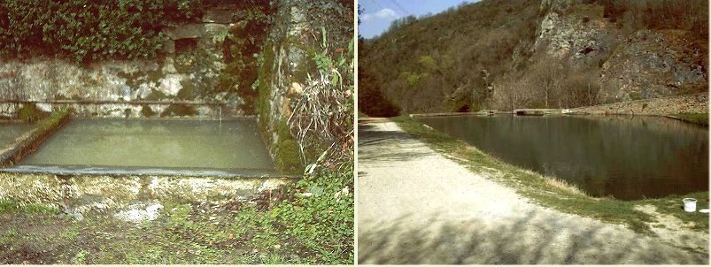 Abreuvoir.jpg.ffee674fb82d92a5aa55c0506d76940c.jpg