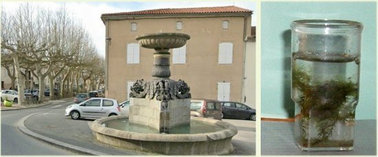 fontaine.jpg.4c413370b325b165d7998c4d49712fe9.jpg