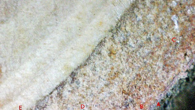 sapintexte2.jpg.85f672d3edac63096a938166300d9200.jpg