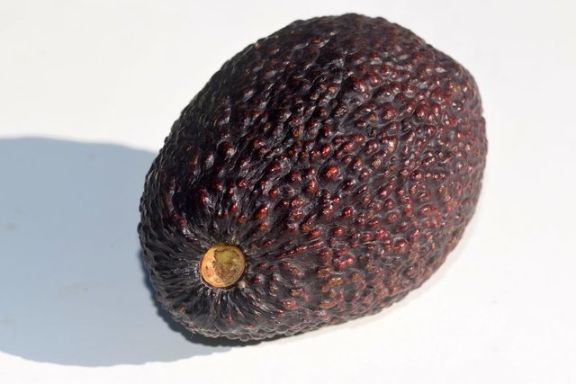 avocattexte1.jpg.527502fd0a364318c089d5e47285052b.jpg