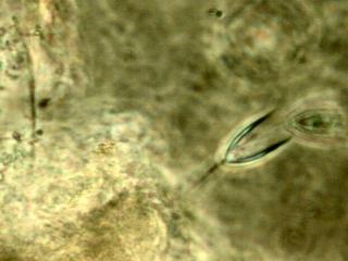 DSCN4160.JPG