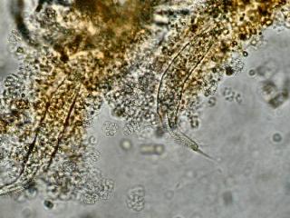 DSCN9977.JPG