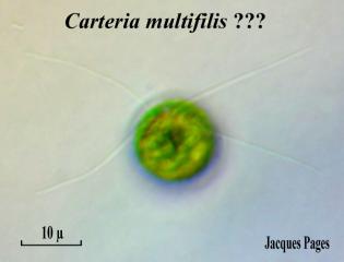 DSCN10906_FMT.jpg