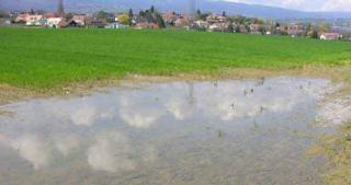 DSCN3830_copie.jpg